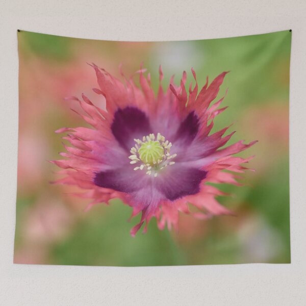 Item preview, Up close. Peony poppy designed and sold by Jouko Lehto Photography.