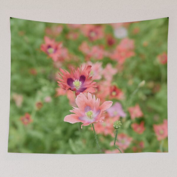 Item preview, The field of Peony poppy designed and sold by Jouko Lehto Photography.