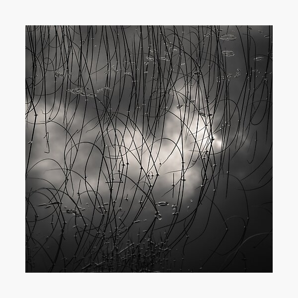 Item preview, Reeds and Clouds designed and sold by David Bowman.