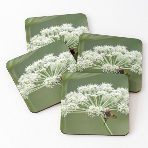 Item preview, White green and a Pellucid Fly designed and sold by Jouko Lehto Photography.