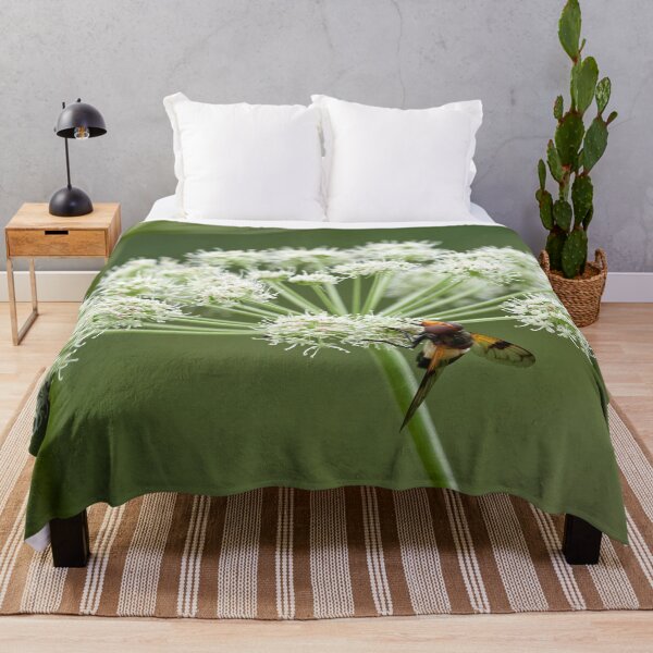 Item preview, White green and a Pellucid Fly designed and sold by Jouko Lehto Photography.