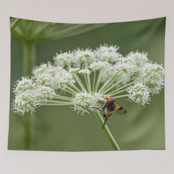 Item preview, White green and a Pellucid Fly designed and sold by Jouko Lehto Photography.