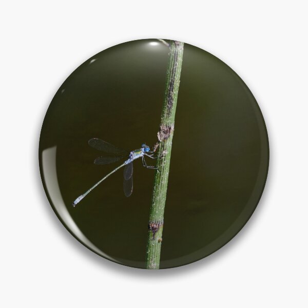 Item preview, Resting. Emerald damselfly designed and sold by Jouko Lehto Photography.