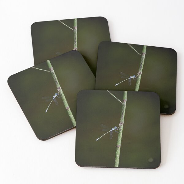 Item preview, Resting. Emerald damselfly designed and sold by Jouko Lehto Photography.