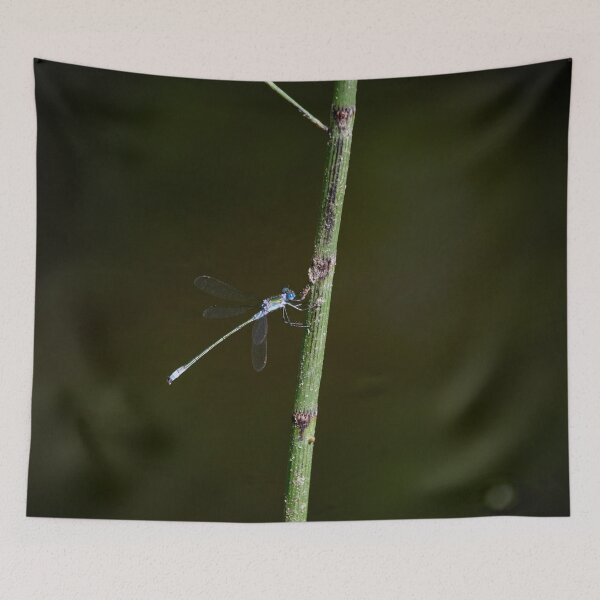 Item preview, Resting. Emerald damselfly designed and sold by Jouko Lehto Photography.