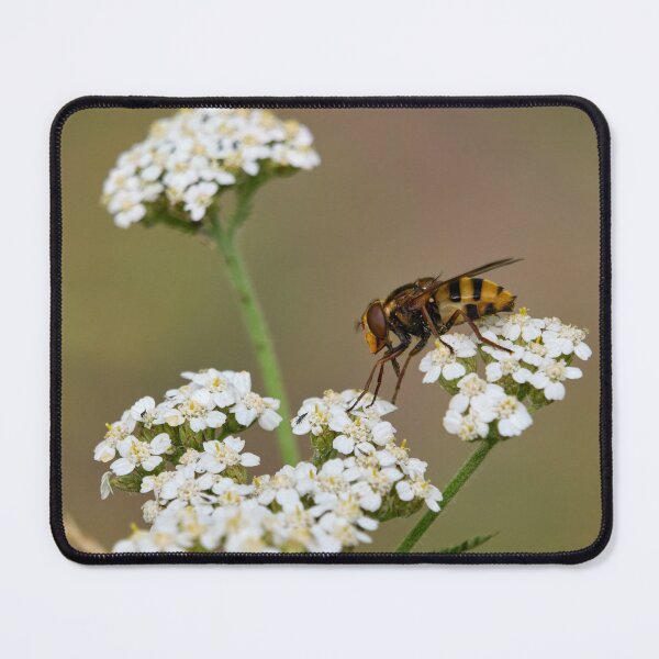 Item preview, Who are you. Hoverfly. designed and sold by Jouko Lehto Photography.