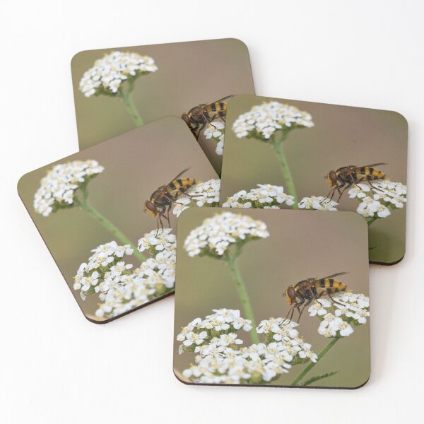 Item preview, Who are you. Hoverfly. designed and sold by Jouko Lehto Photography.