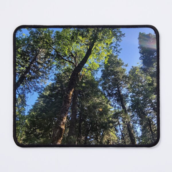Item preview, Great Wave of Trees Aesthetic Photography designed and sold by Lostbandito.