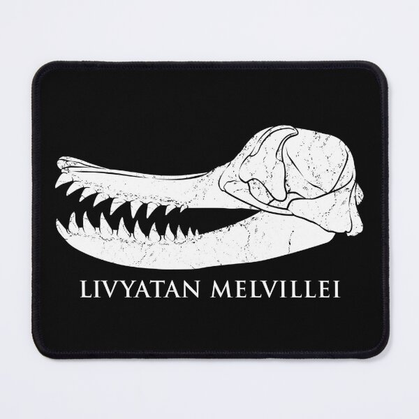 Item preview, Livyatan Melvillei fossil skull designed and sold by NicGrayGraphic.