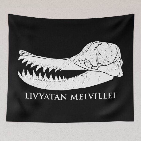Item preview, Livyatan Melvillei fossil skull designed and sold by NicGrayGraphic.