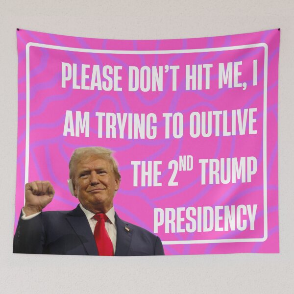 Item preview, Please don’t hit me, I am trying to outlive the 2nd trump presidency designed and sold by annaseditss.