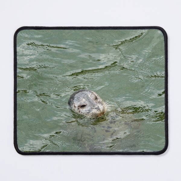 Item preview, Derpy Seal designed and sold by TinyDinoDesigns.