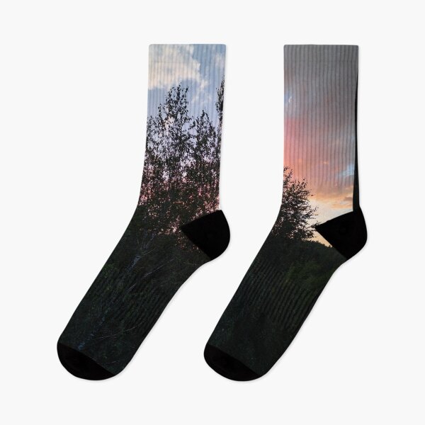 Item preview, Evening birches August 2025 designed and sold by Jouko Lehto Photography.