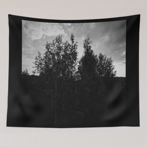 Item preview, Evening birches bw August 2025 designed and sold by Jouko Lehto Photography.