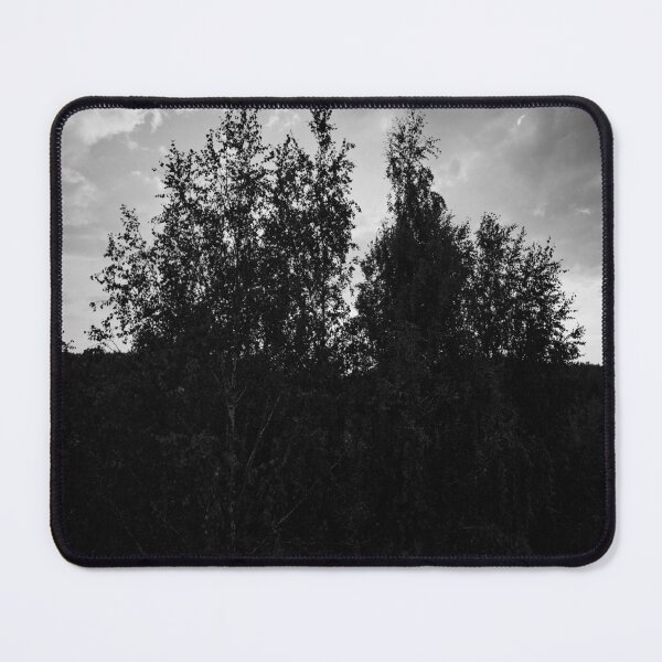Item preview, Evening birches bw August 2025 designed and sold by Jouko Lehto Photography.