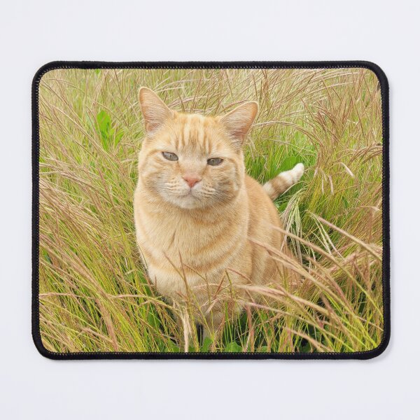 Item preview, Red tabby cat designed and sold by LR-Designer.