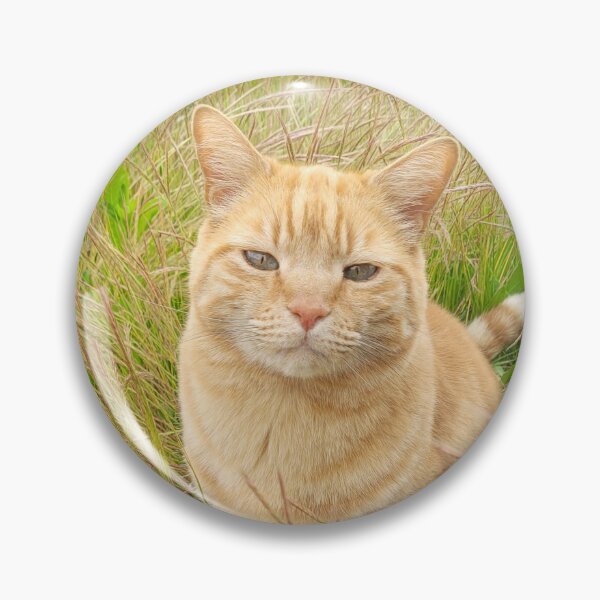 Item preview, Red tabby cat designed and sold by LR-Designer.