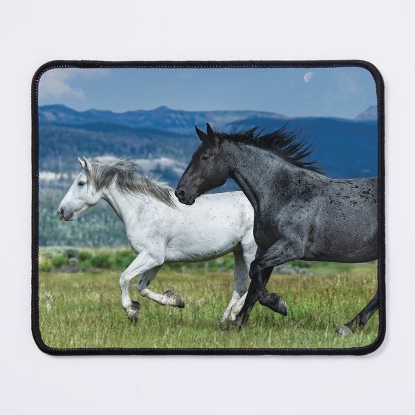 Item preview, Galloping Through the Scenery designed and sold by Kay Brewer.