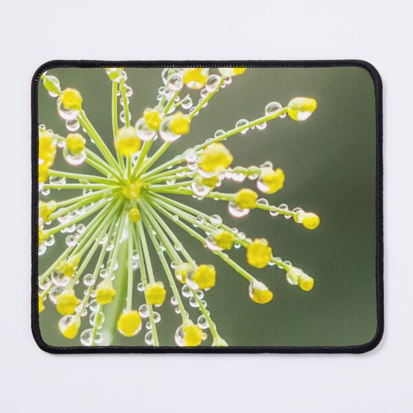 Item preview, Mindfully discovered – Hidden beauty – Raindrops on dill blossom designed and sold by Katja LebenFreude.