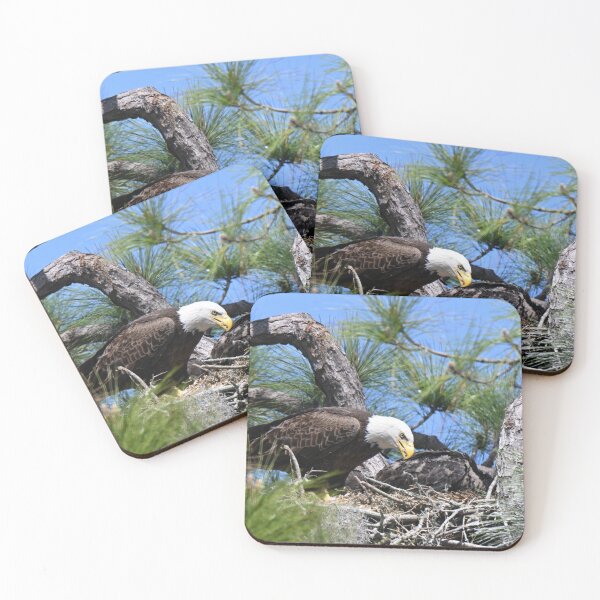 Item preview, Female Bald Eagle in the Nest  designed and sold by Glennphotos.