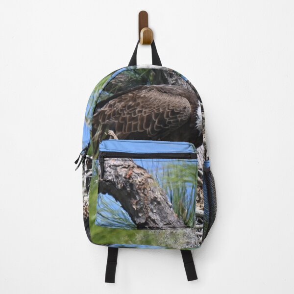Item preview, Female Bald Eagle in the Nest  designed and sold by Glennphotos.