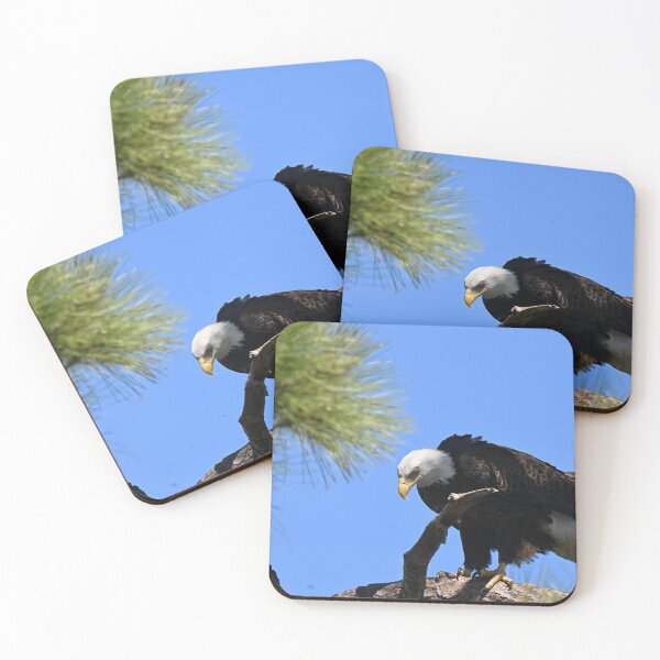 Item preview, Bald Eagle surveying the ground designed and sold by Glennphotos.