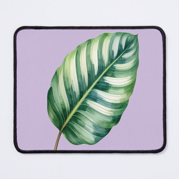 Item preview, Watercolor Calathea Leaf – Tropical Green Botanical Illustration designed and sold by Simple Nature Studio.