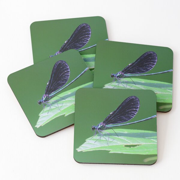Item preview, Ebony Jewelwing  designed and sold by Parks and X.