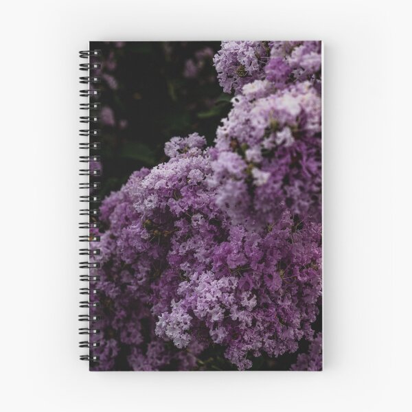 Item preview, Flurry designed and sold by IdleImages.