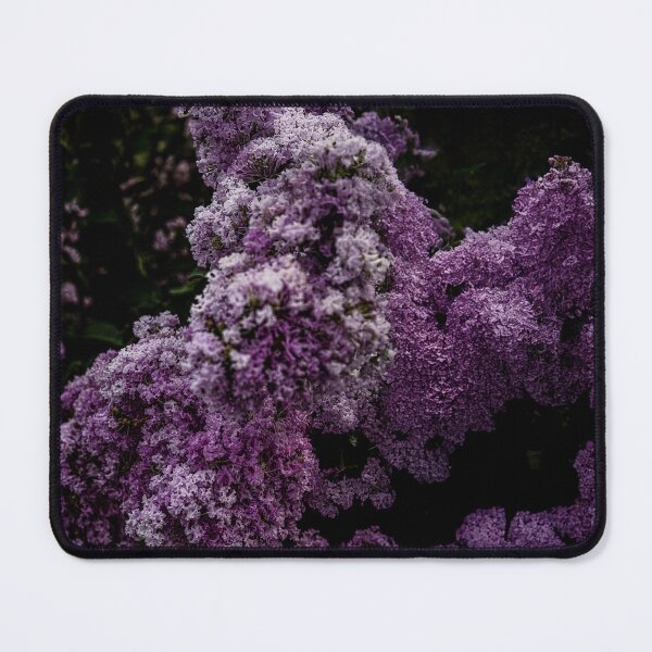 Item preview, Flurry designed and sold by IdleImages.