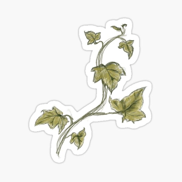 Creeping Vines Sticker Sticker