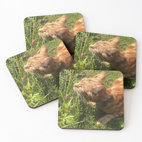 Item preview, Beautiful cat in the spring grass designed and sold by TheBoxeyShop.