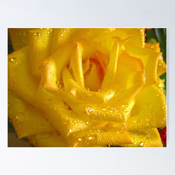 Item preview, *THE YELLOW ROSE* designed and sold by Van Coleman.