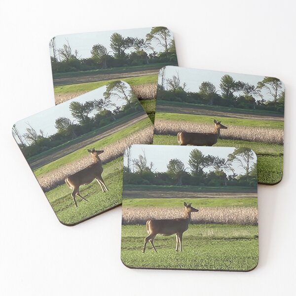Item preview, Doe, a Deer designed and sold by AStudentStudio.