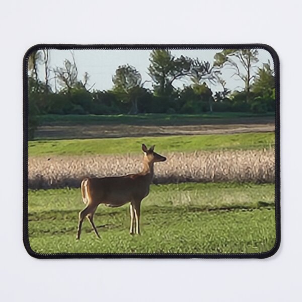 Item preview, Doe, a Deer designed and sold by AStudentStudio.