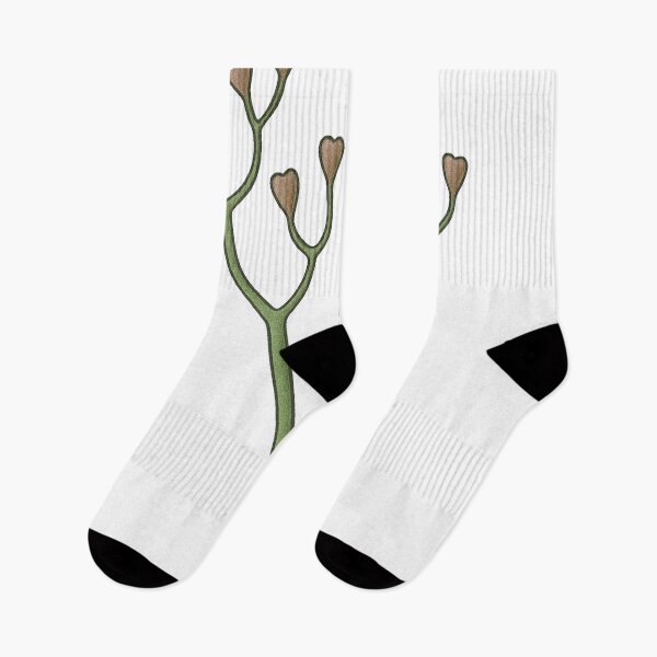 Item preview, Cooksonia Illustration, Prehistoric Vascular Plant Art designed and sold by Vendeloc.