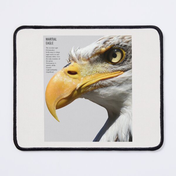 Item preview, martial eagle designed and sold by lino4king.