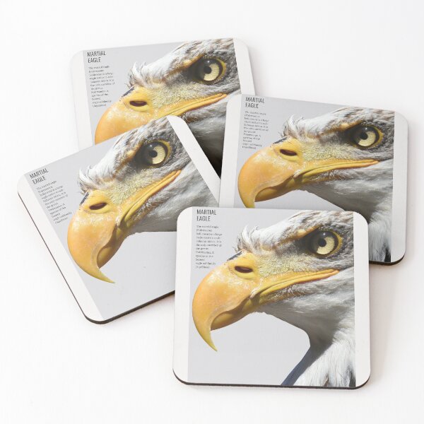 Item preview, martial eagle designed and sold by lino4king.