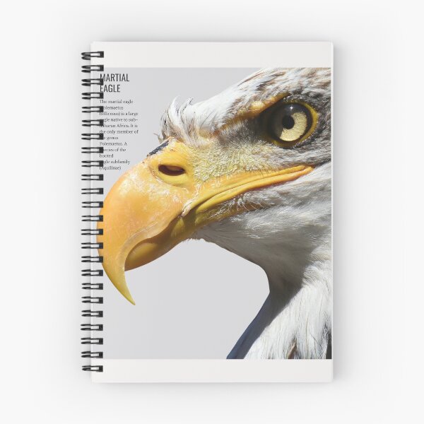 Item preview, martial eagle designed and sold by lino4king.
