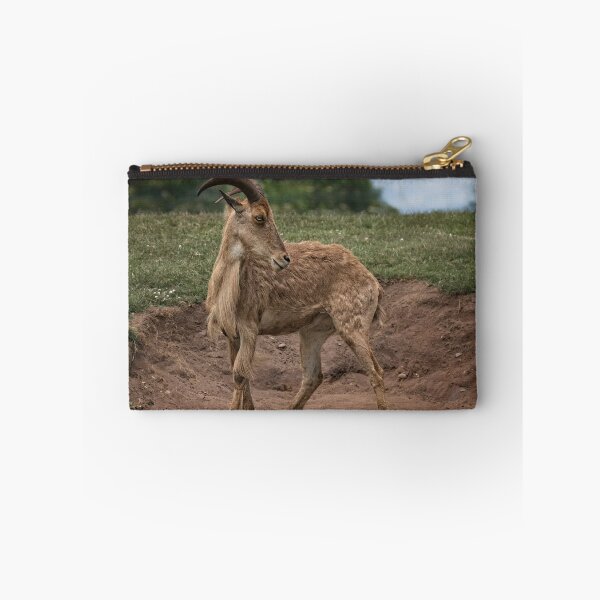 Item preview, Barbary sheep designed and sold by Dave Tucker.