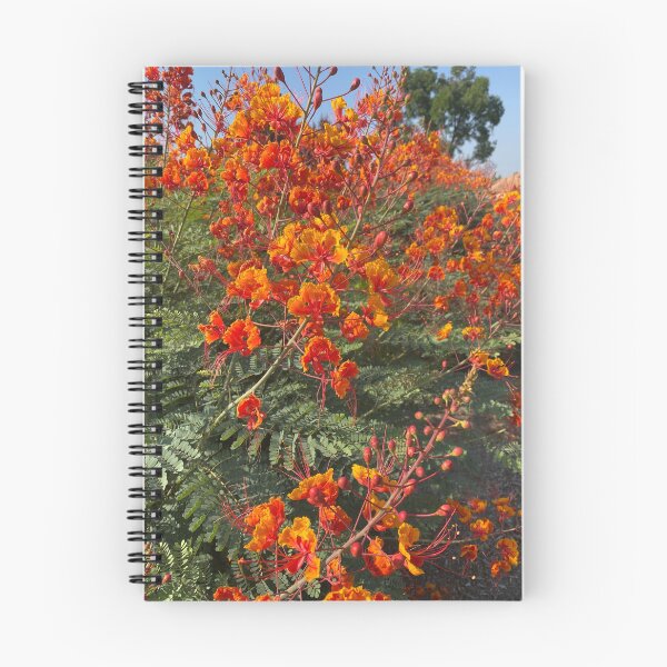 Aperçu de l'œuvre Belles fleurs de printemps créée et vendue par CG64.