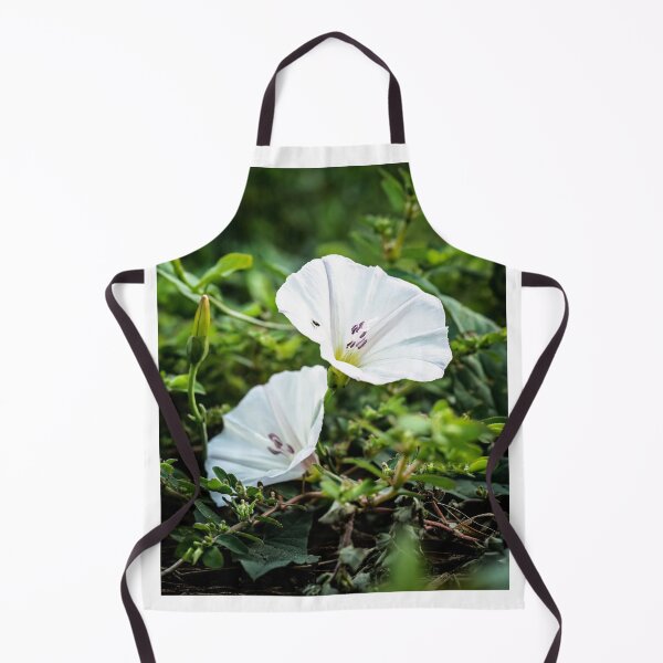 Item preview, Morning duet of morning glory blossoms designed and sold by Joel Bader.