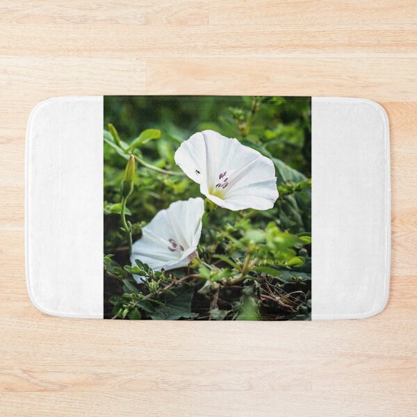 Item preview, Morning duet of morning glory blossoms designed and sold by Joel Bader.