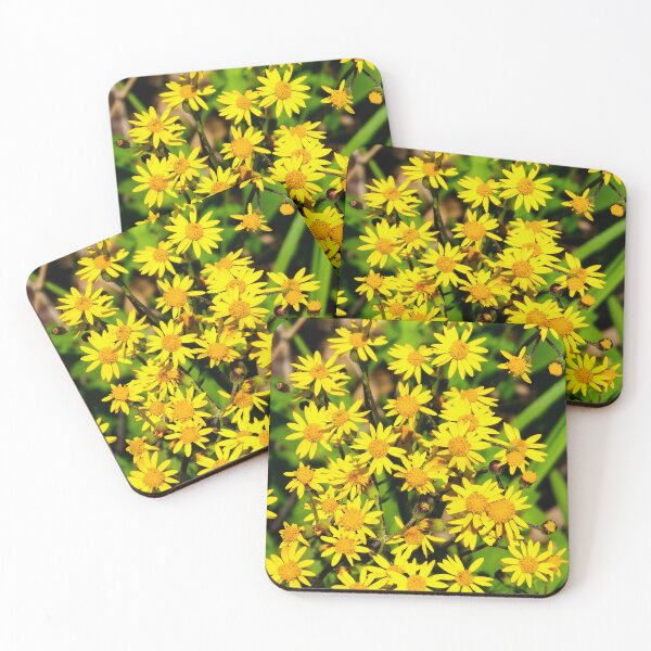 Item preview, Golden Ragwort designed and sold by bjtomiko.