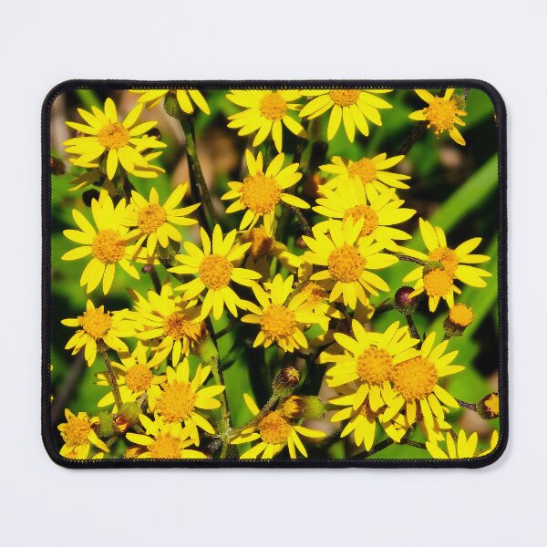 Item preview, Golden Ragwort designed and sold by bjtomiko.