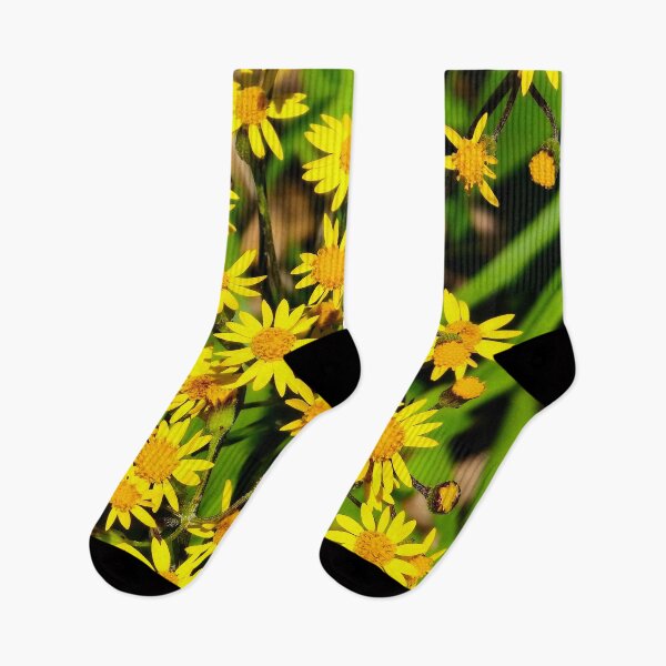 Item preview, Golden Ragwort designed and sold by bjtomiko.
