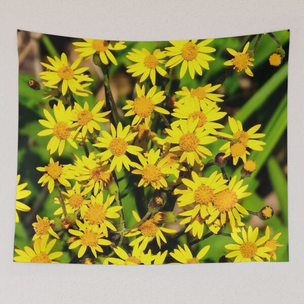 Item preview, Golden Ragwort designed and sold by bjtomiko.