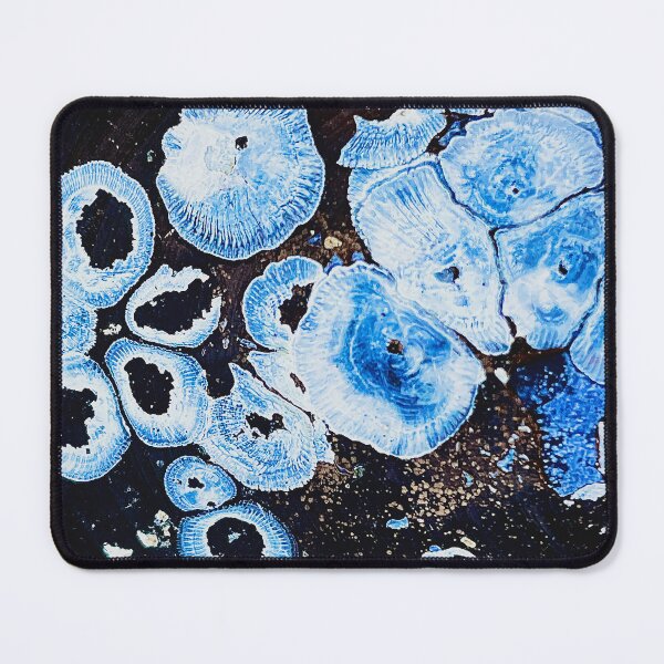 Item preview, Barnacles designed and sold by DF Textures.