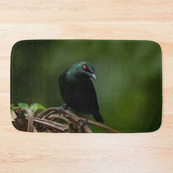 Item preview, Asian Glossy Starling with Striking Red Eye designed and sold by rawshutterbug.