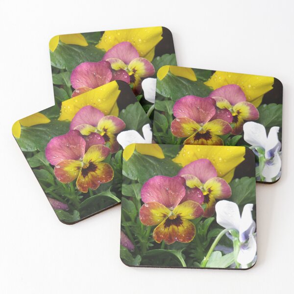 Item preview, Maroon and yellow violets designed and sold by greentiger1.